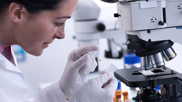   CHMP har gett ett positivt utlåtande som rekommenderar godkännande av Pfizers vaccin mot RS-virus för vuxna i åldern 18 till 59 år. Foto: Johnér