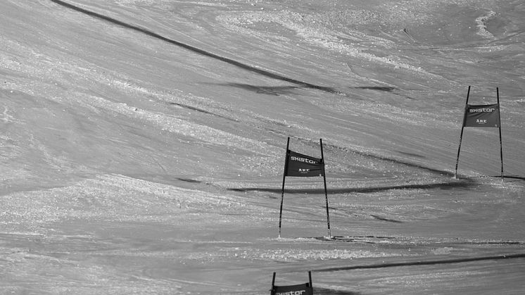 Genrebild. Foto: Bildbyrån. 