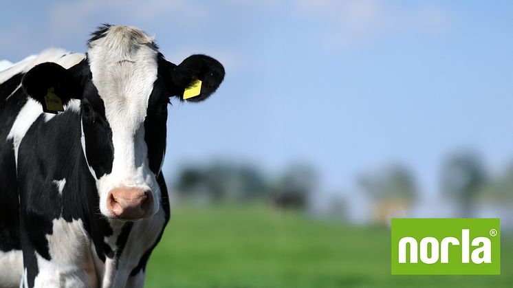 Zum ersten Mal überhaupt stellt Olsson Parts auf der deutschen Landwirtschafts- und Verbrauchermesse Norla aus. Sie finden uns am Stand S03.