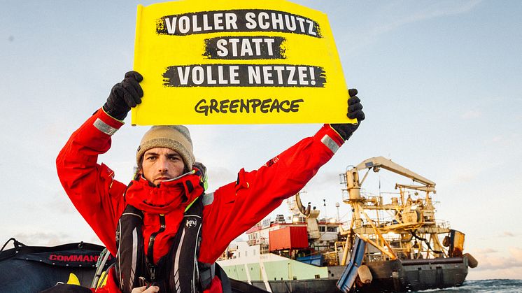 Greenpeace-Stellungnahme zu den EU-Fangquoten im Nordostatlantik
