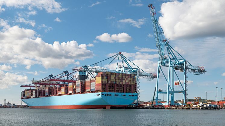 Exporten av jordbruksvaror och livsmedel uppgick 2024 till 83 miljarder kronor, vilket är en ökning med närmare 2 miljarder kronor eller drygt 2 procent. Foto: Karl Forsberg