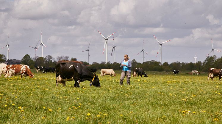 Arla Foods mit starkem Finanzergebnis im Jahr 2024