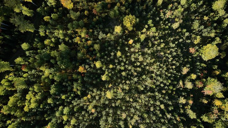 STIHL styrker bærekraftstiltakene med kutt i energiforbruk og CO2-utslipp