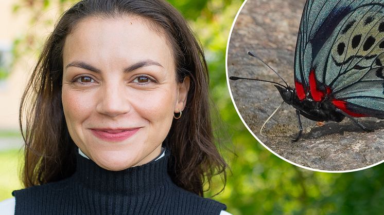 Foto: Jenny Svennås-Gillner/SLU och Lodewicus de Honsvels