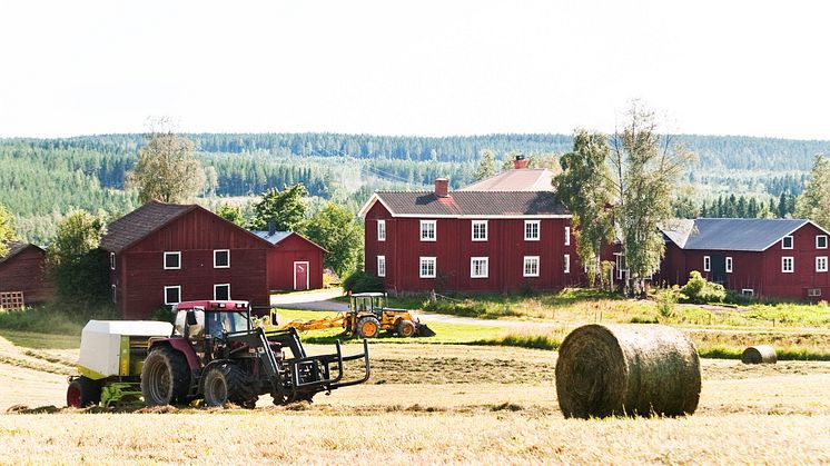 Foto: Scandinav Bildbyrå