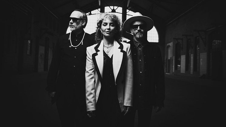 Velvet Moon består av sångerskan Sandra Bjurman och prisade producenterna Stefan Örn och Johan Glössner