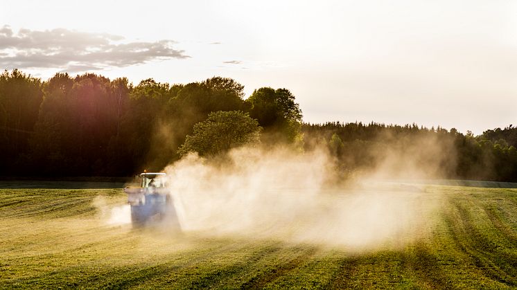 Svenskt jordbruk är beroende av insatsvaror, däribland mineralgödsel. Att öka den inhemska produktionen av gödselmedel kan vara ett sätt att stärka robustheten i vår livsmedelsproduktion. Foto: Scandinav/Thomas Adolfsén.