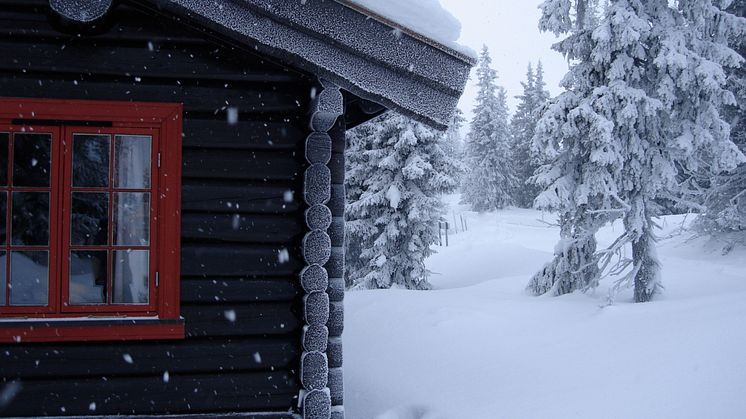 Smart control solutions for heating, electricity, and security in the cabin market.