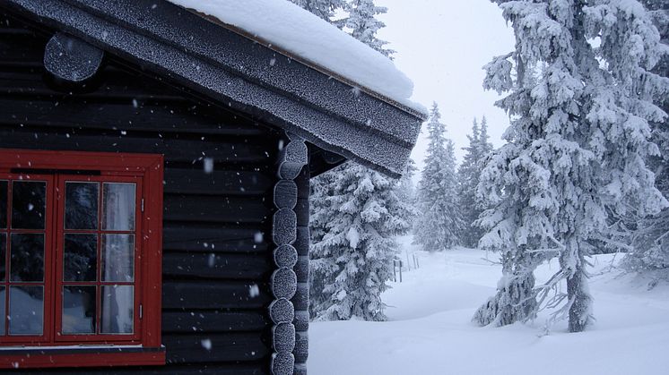  Smart control solutions for heating, electricity, and security in the cabin market.
