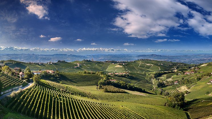 Exklusiva lanseringar i maj: Barbaresco DOCG 2021 och nio cru-viner från 2020 
