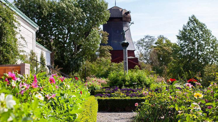 Specialvisning: Sensommarblom i parken