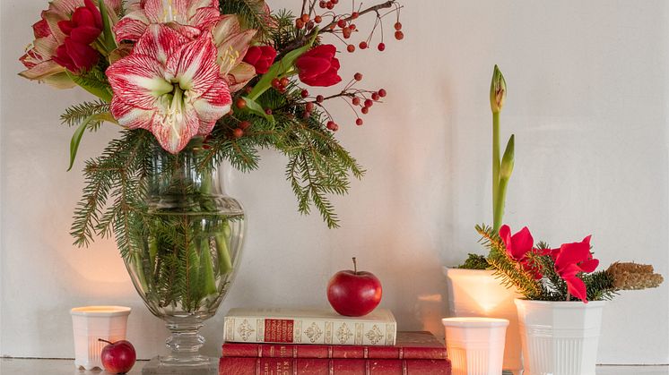 Föredrag: Julens blommor