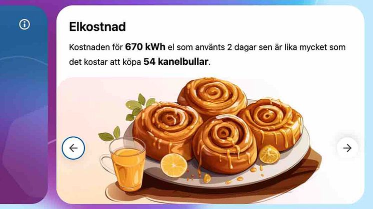 Plattformen Antiloop elförbrukning bred.jpg