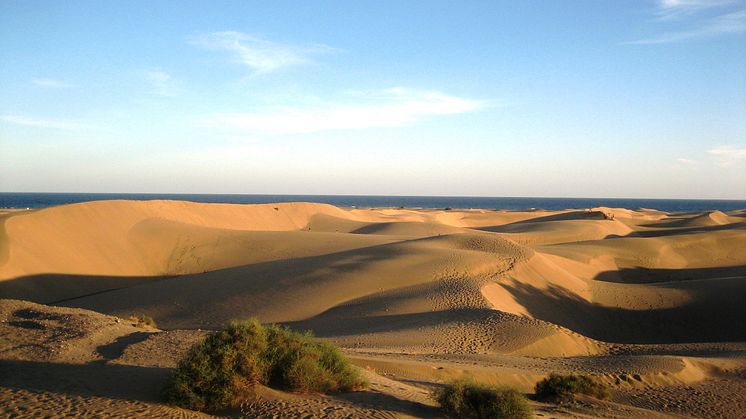 Für Expedienten und Expedientinnen geht es mit alltours im Dezember auf zwei Inforeisen nach Gran Canaria.