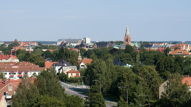 _C0J6649.jpg