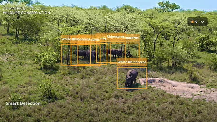 Protecting the White Rhino with DJI Matrice 4T in Sabi Sand Nature Reserve