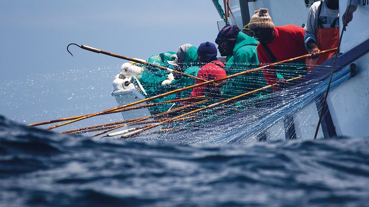 MSC21458_MSC20833_1MB_DIGI_South-Africa-albacore-pole-and-line-fishing_2-(credit-Steve-Benjamin).jpg