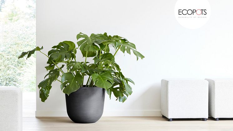 Ecopots Oslo