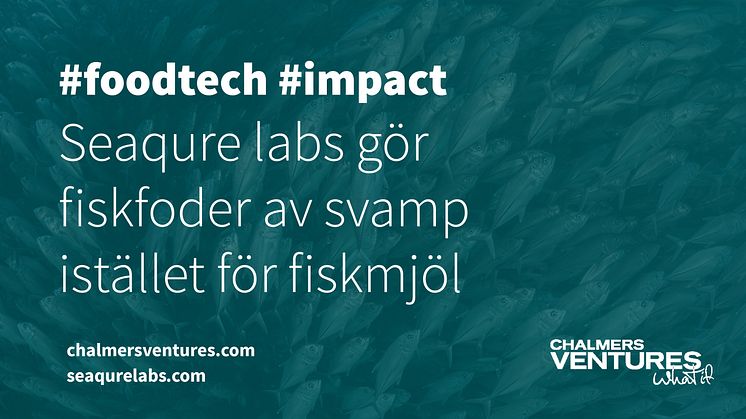 Seaqure labs är ett nytt bolag i Chalmers Ventures portfölj