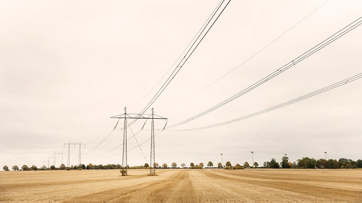 För boende i Torsås och Hallabro har elförsörjningen blivit betydligt bättre det senaste årtiondet. Det visar ny statistik som rapporterats till Energimarknadsinspektionen.﻿