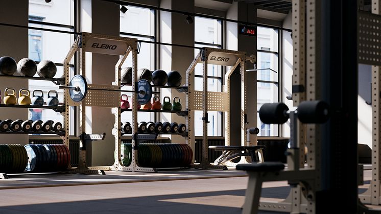 Eleiko Prestera Training Stations.jpg