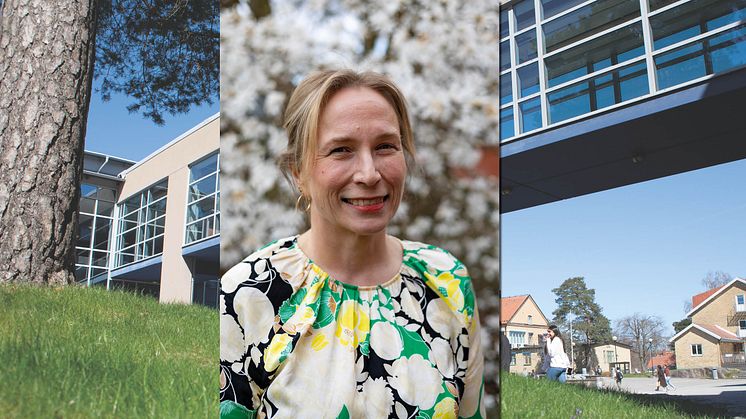 Hon blir ny kommunikationschef på Högskolan Väst