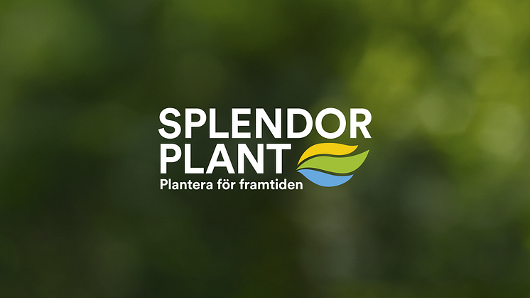 Splendor Plant tar nästa steg med ny varumärkesplattform och grafisk profil