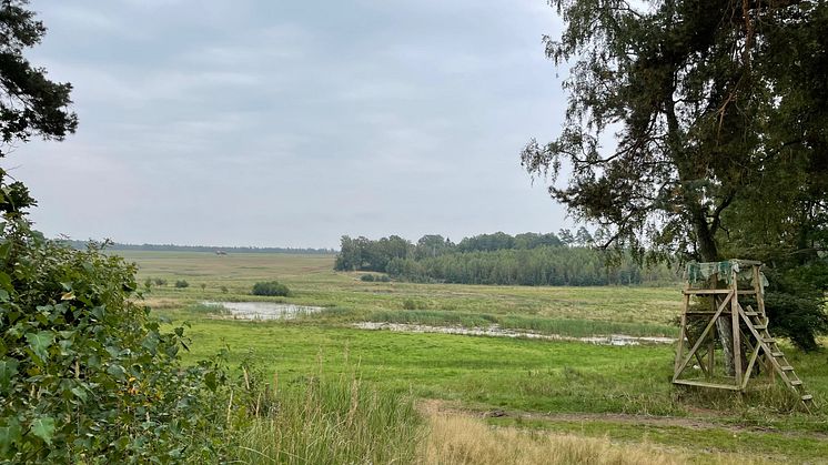 Pressinbjudan: LRF Värmlands regionstämma 2025