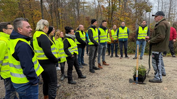 E.ON und Avacon setzen starkes Zeichen für die Umwelt – 600 Weißtannen für den Wald in Wennigsen/Deister