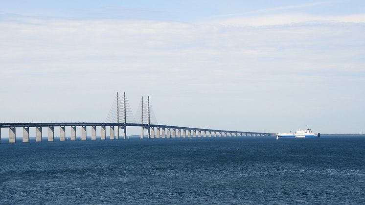 DSC_7891.jpg