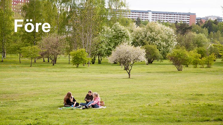 Järva begravningsplats bygger på ett prisvinnande arkitektförslag som profiterat på placeringen i en prisvinnande park, Järva DiscGolfPark (bilden).