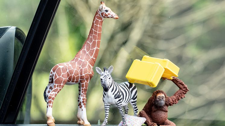 Schleich_Reisetipps.jpg