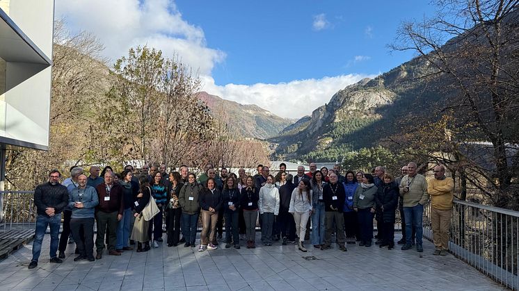 Radonova, Spanish National Workshop 2024.jpg