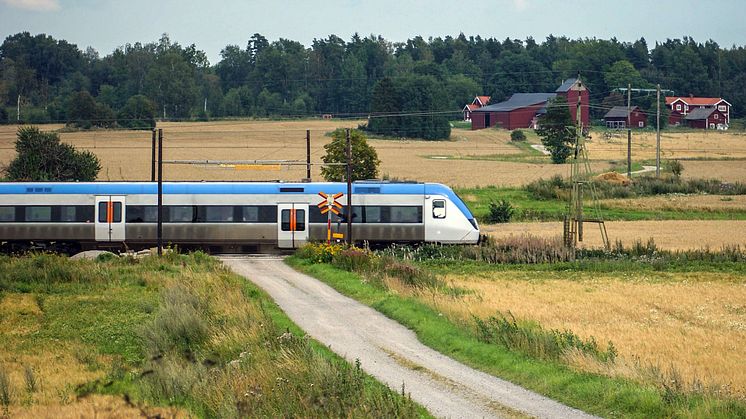 Foto: Mostphotos/Michael Erhardsson