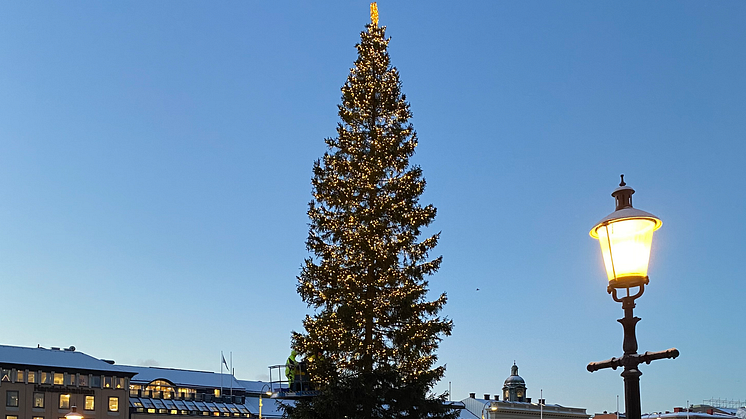 Julgranen på Gustav Adolfs torg 2023. Bild: Göteborgs Stad