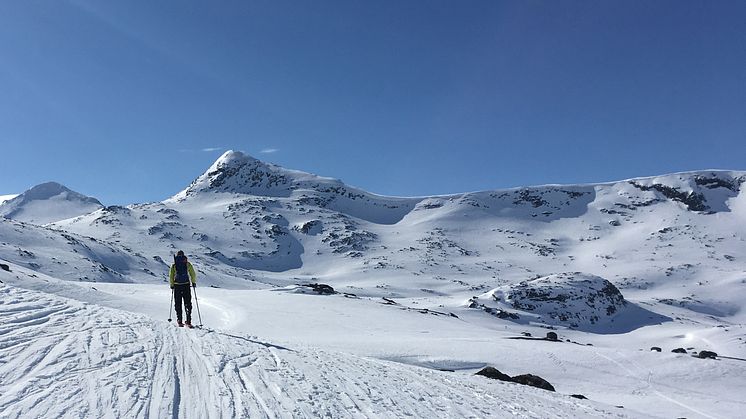 Skal du ut i sola i påsken? Husk solkrem! Illustrasjonsbilde: Anne Karine Halse, NILU