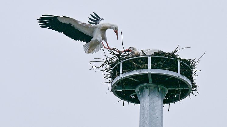 (Foto: LEW / Thorsten Franzisi)