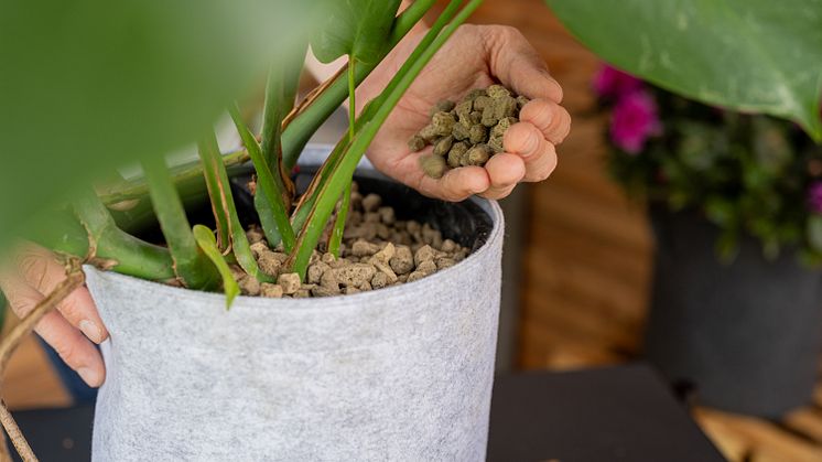 Floragard_Pflanzgranulat_Anwendung.jpg