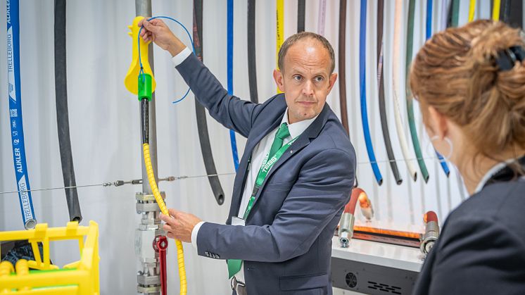 Et meget solid slangeår