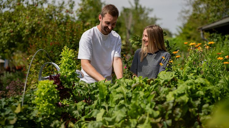 Gemüseanzucht gelingt im Hochbeet besonders gut. Sechs Floragard-Tipps für Selbstversorger.