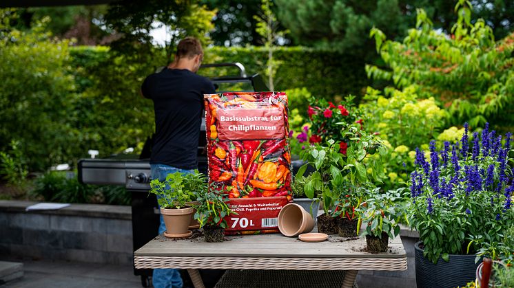 Floragard_Chili-Erde_Pflanztisch.jpg