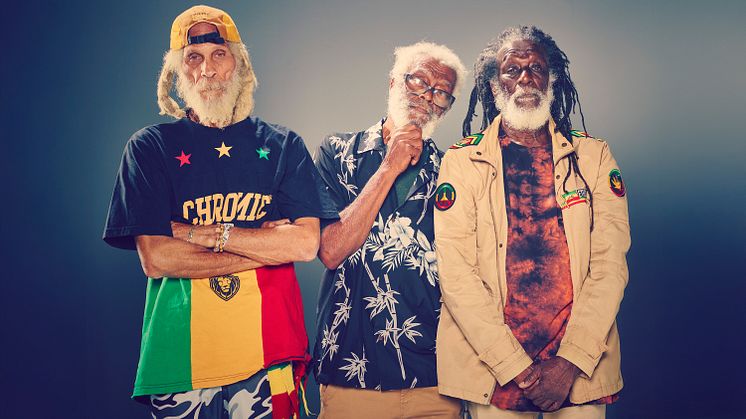 The Congos kommer till Sverige