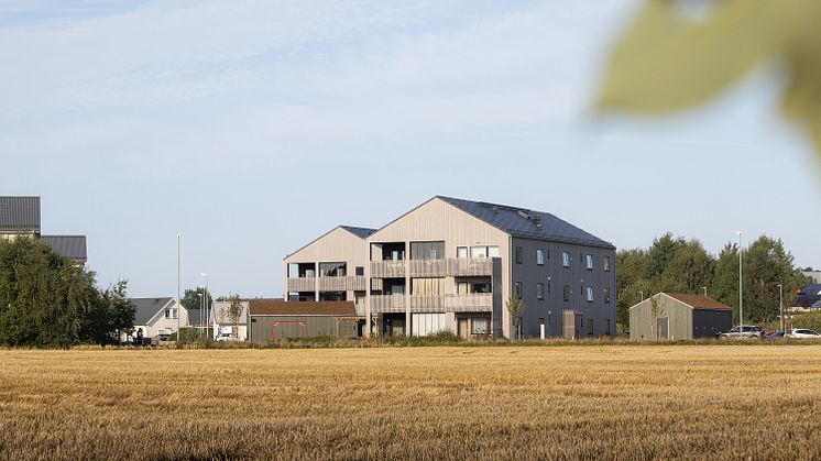 Skrea Gårdar i Falkenberg, ritat av Fredblad arkitekter, prisas för genomtänkt stadsbyggnad med fina, hållbara värden. Foto: Fredblad