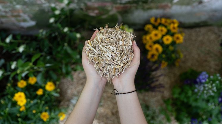Geeignet für Gartenbeet oder Einstreu in Ställen: der neue Mulch von Floragard auf Basis von Miscanthus x giganteus 