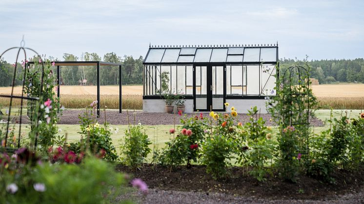 Familjen Möller Kirchsteigers växthus Helios Unik – en hållbar investering som kombinerar estetik, funktionalitet och drömmen om en grön, ätbar oas på Östgötaslätten.