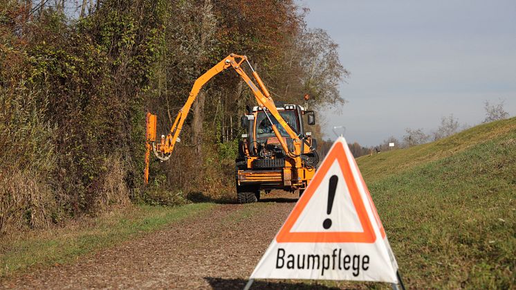 Auch in diesem Jahr führt LEW Wasserkraft wieder Baumpflegearbeiten entlang der Flüsse durch. Dieses Foto entstand während der Arbeiten bei Inningen an der Wertach. ( LEW / Michael Hochgemuth )