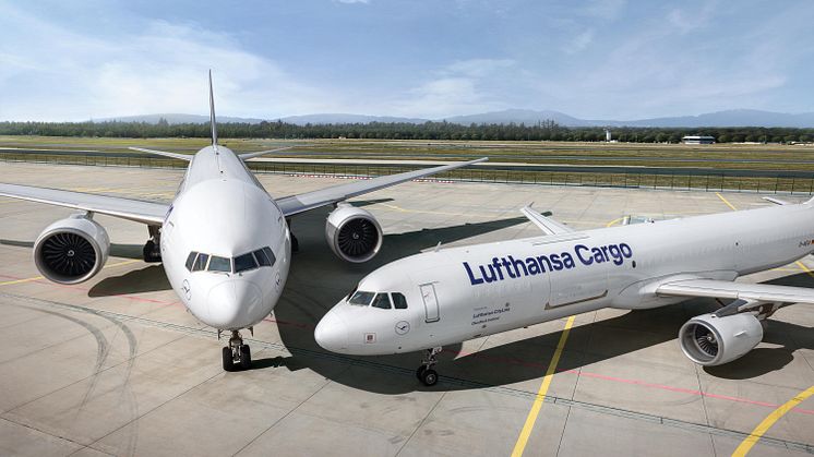 Lufthansa Cargo verbessert Geschäftsergebnis gegenüber Vorjahr deutlich 