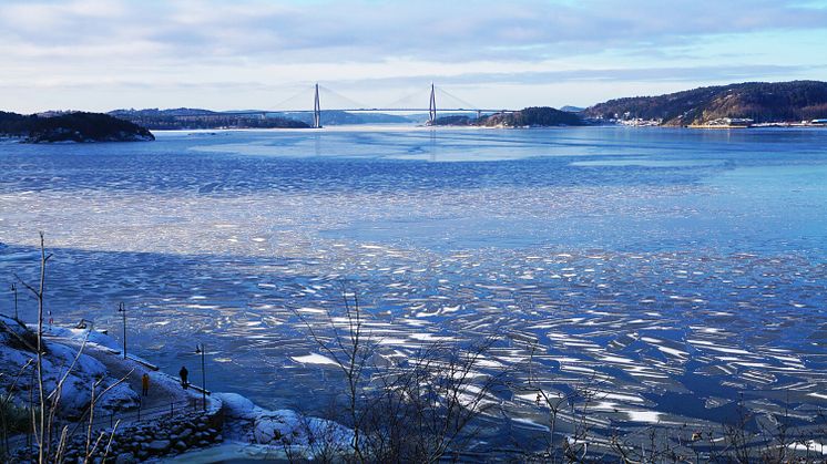 Socialnämnden presenterar satsningar för 2025