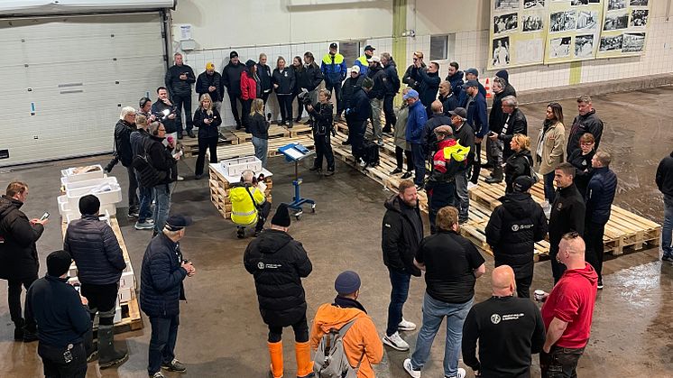 Dags för årets hummerpremiär på Göteborgs Fiskauktion