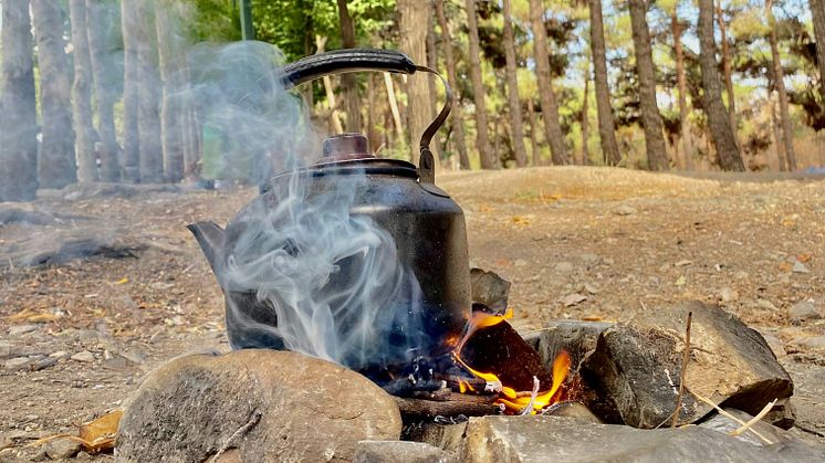 Nå er det skogbrannfare mange steder i landet. Foto: Unsplash